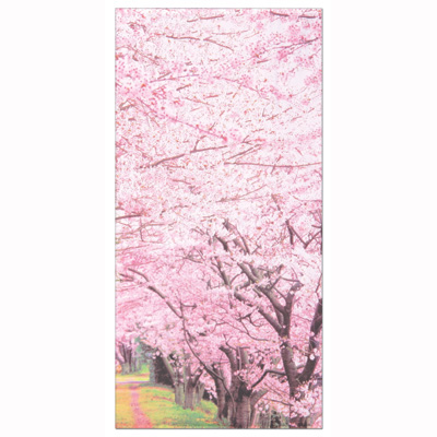 桜並木タペストリー