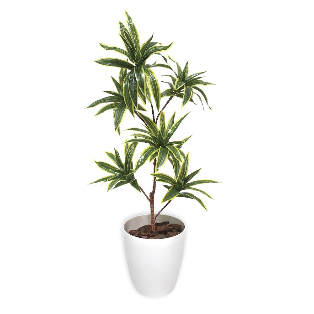 人工観葉植物 ソングオブインディア Mサイズ